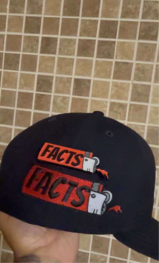 🔥🔥 Facts Lighter Logo XL Pin